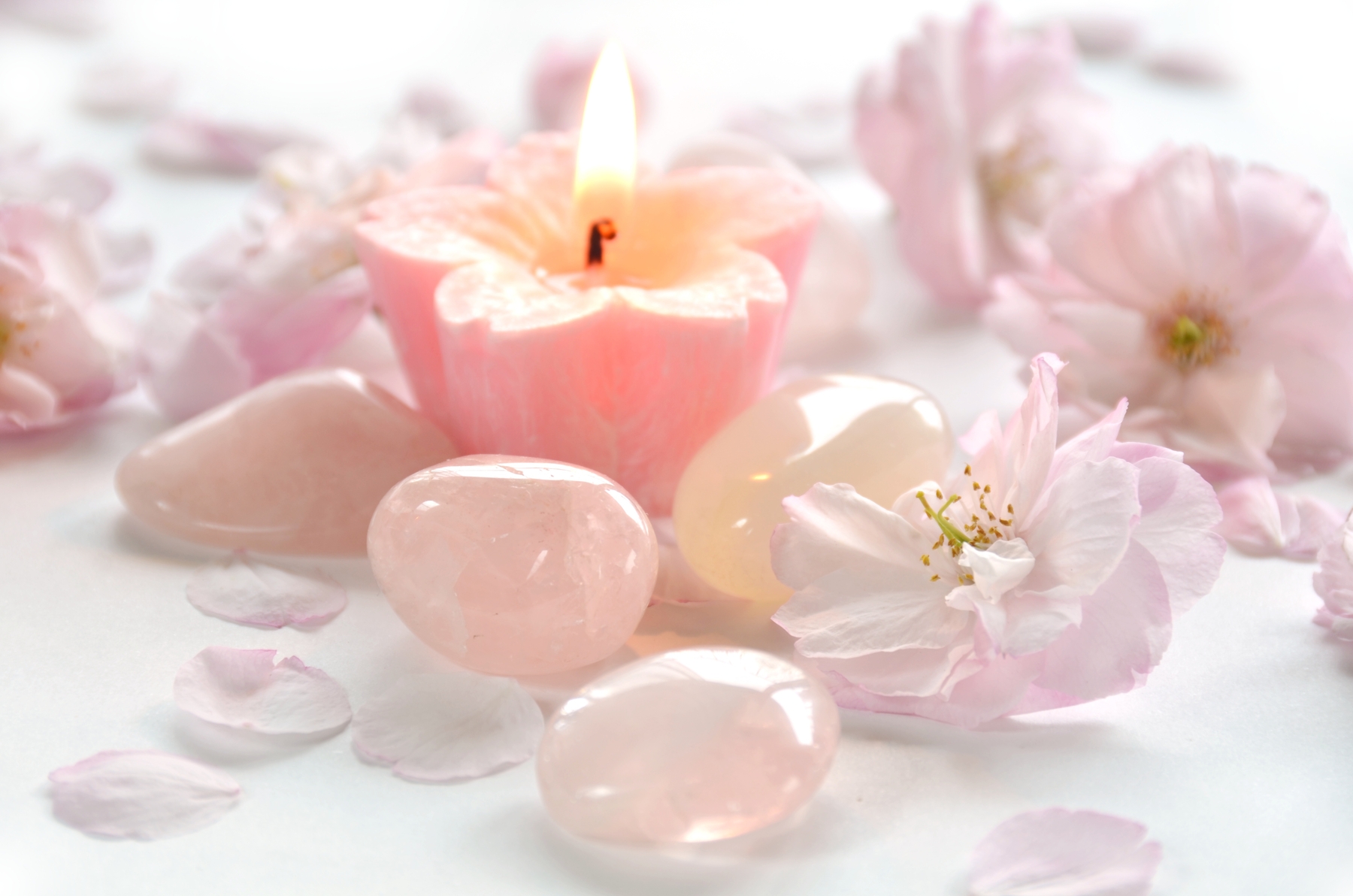 AdobeStock_64362209